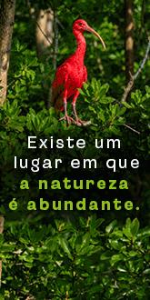 publicidade